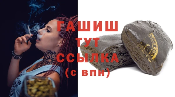 индика Пестово