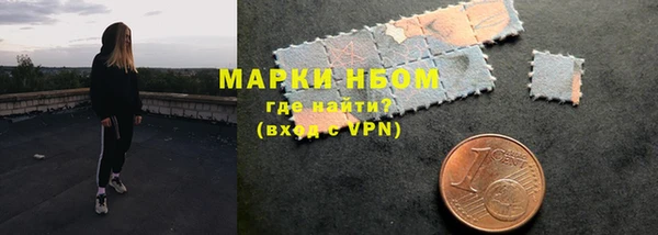 гидропоника Пересвет