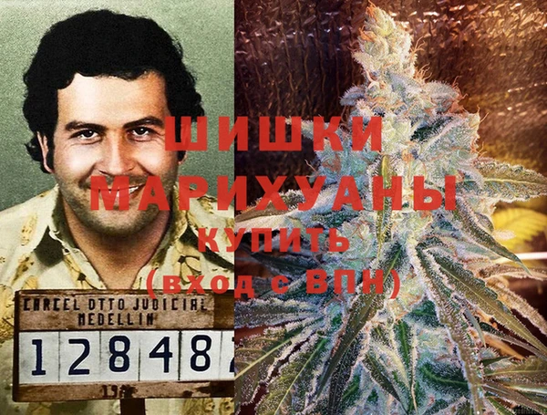 индика Пестово