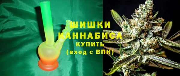 индика Пестово