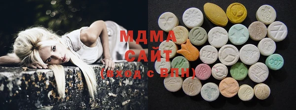 индика Пестово